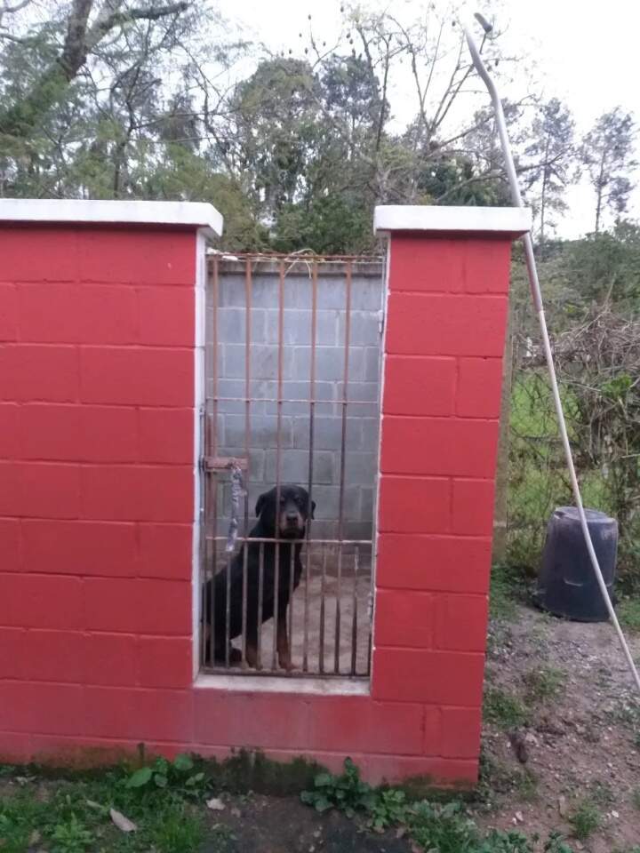 Fazenda à venda com 4 quartos, 130m² - Foto 7