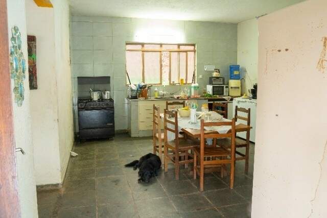 Fazenda à venda com 3 quartos, 5000m² - Foto 11