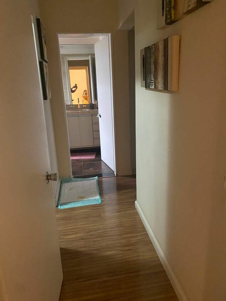 Apartamento à venda com 3 quartos, 113m² - Foto 25