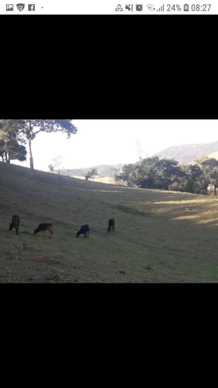 Fazenda à venda com 3 quartos, 200m² - Foto 17