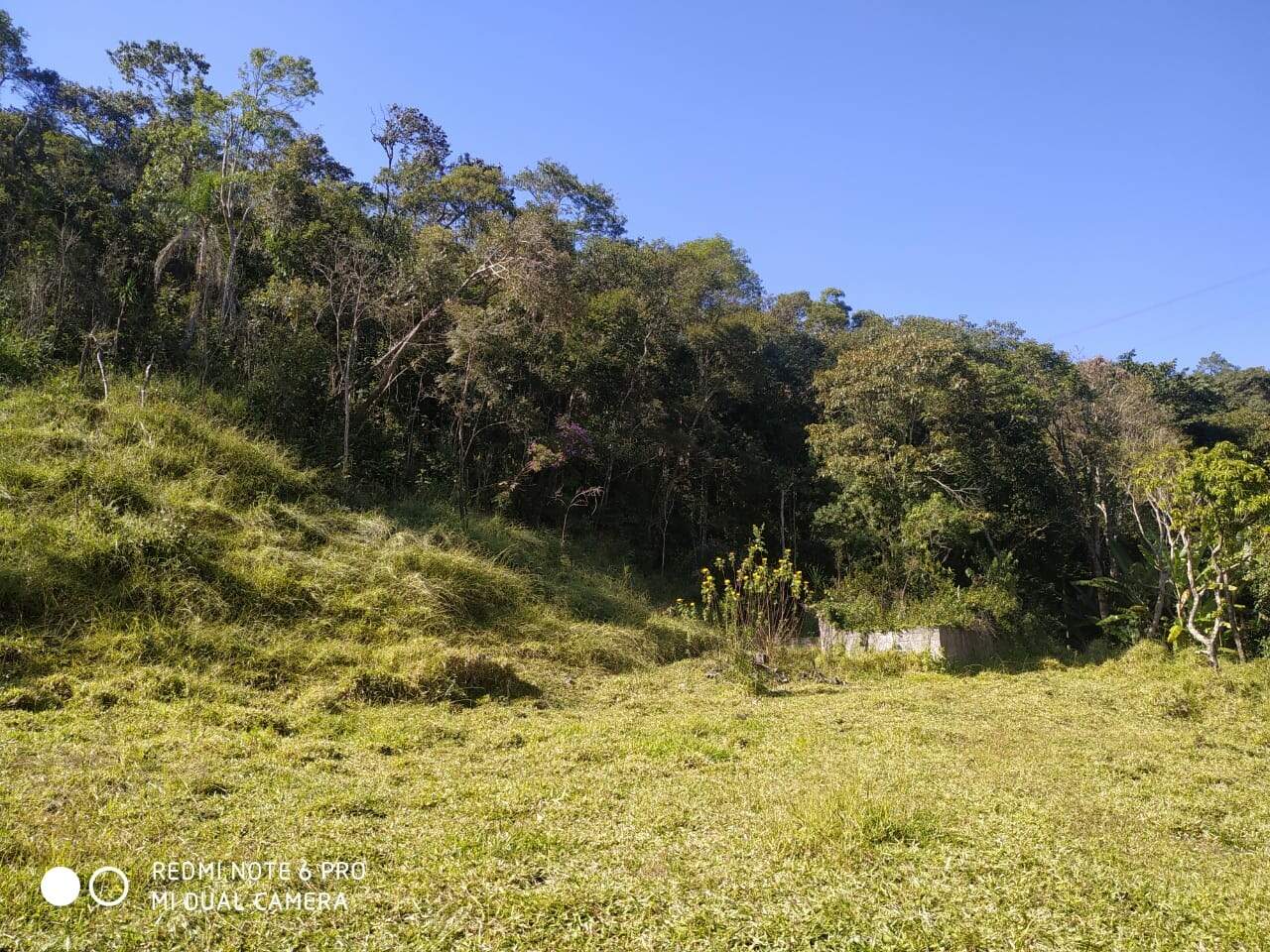 Fazenda à venda com 2 quartos, 154m² - Foto 6