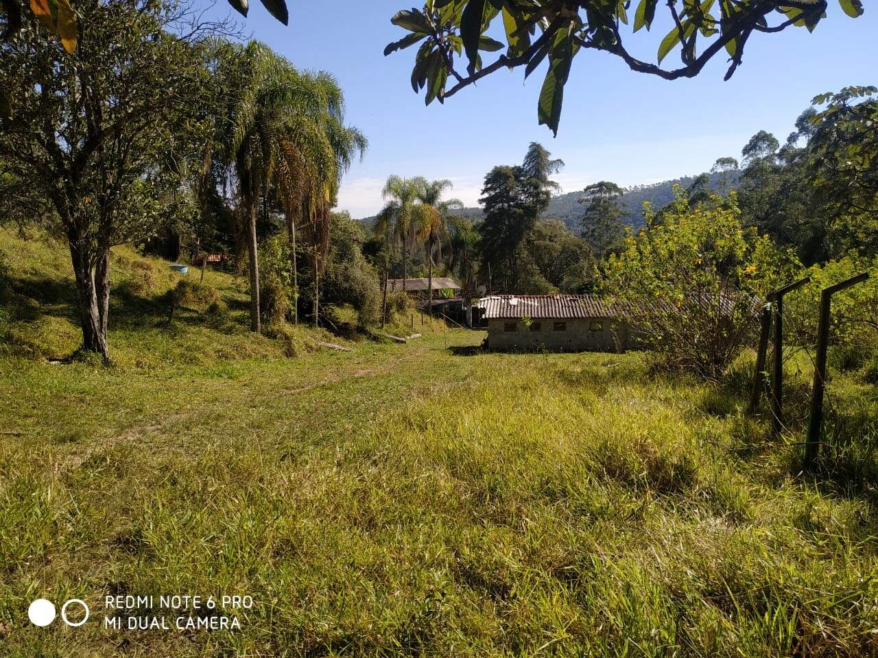 Fazenda à venda com 2 quartos, 154m² - Foto 14