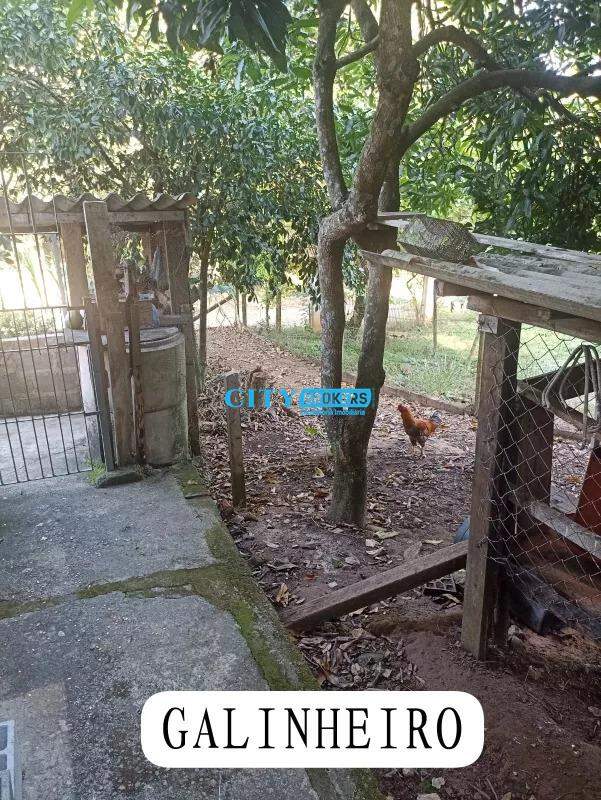 Fazenda à venda com 3 quartos, 200m² - Foto 10