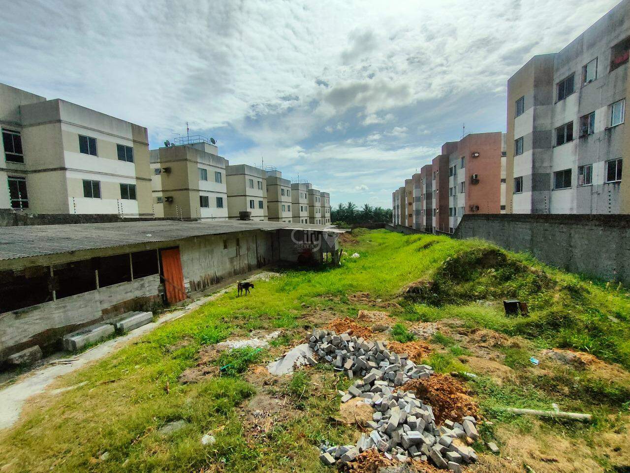 Imóvel Comercial para alugar — Fernando Collor, 527 m² — foto 2
