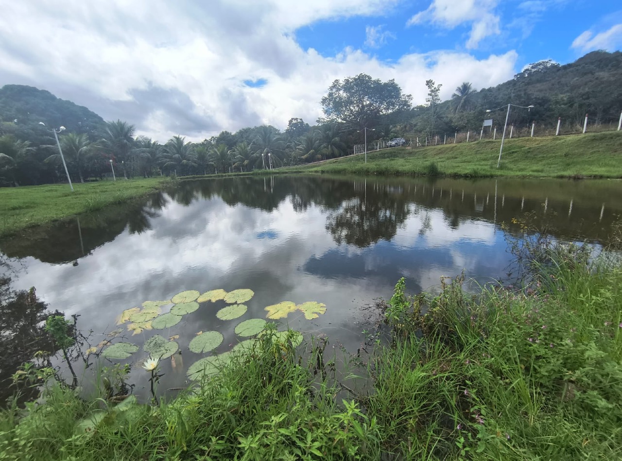 Sítio à venda no RURAL: 