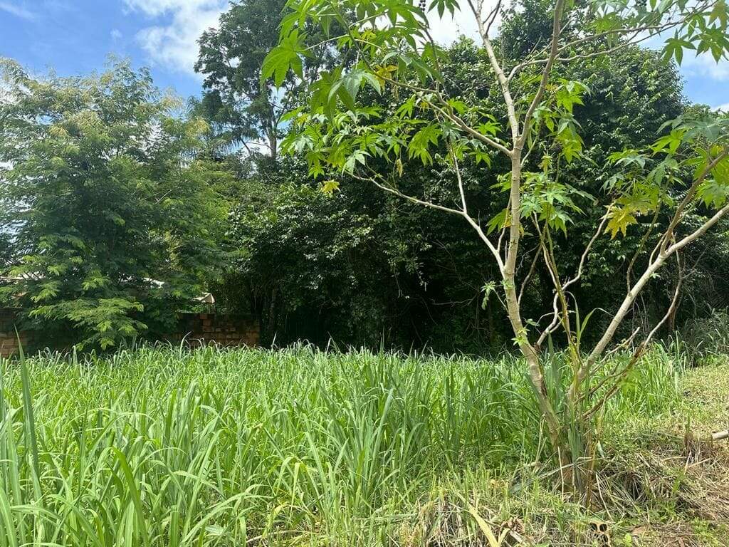 Lote à venda no Taquarussu: 