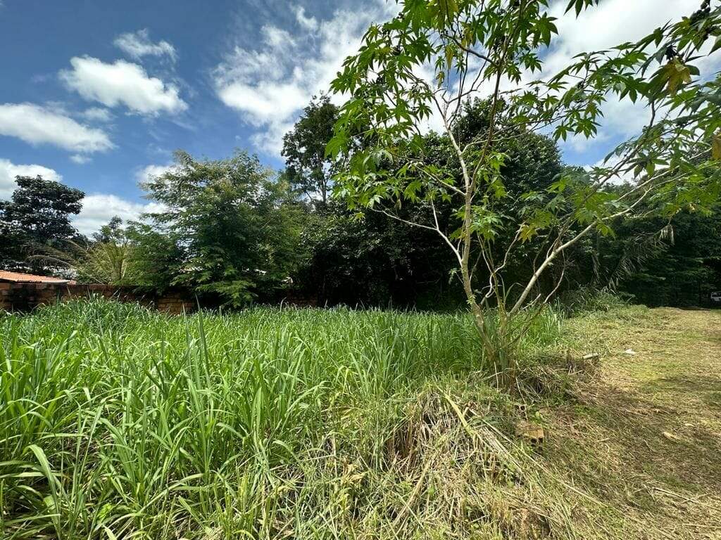 Lote à venda no Taquarussu: 