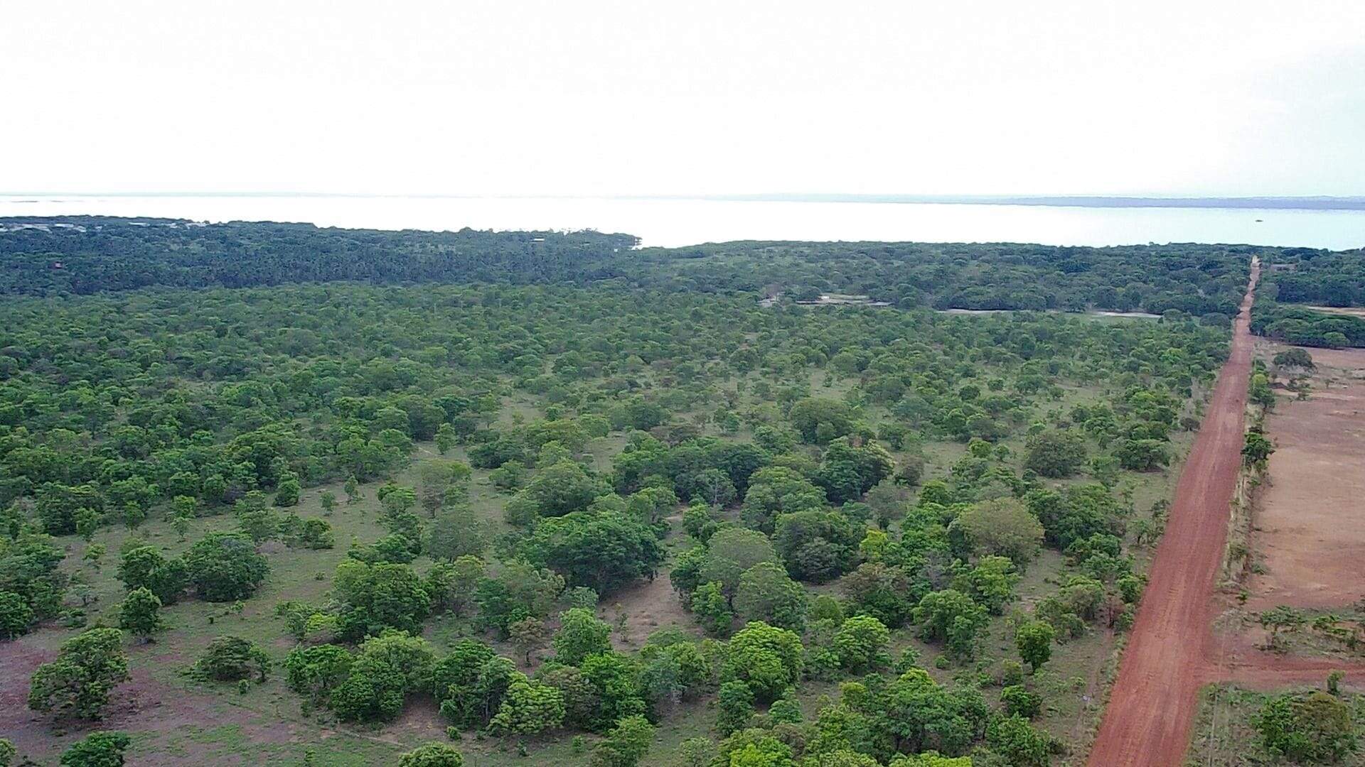 Lote à venda no Área Rural de Palmas: 