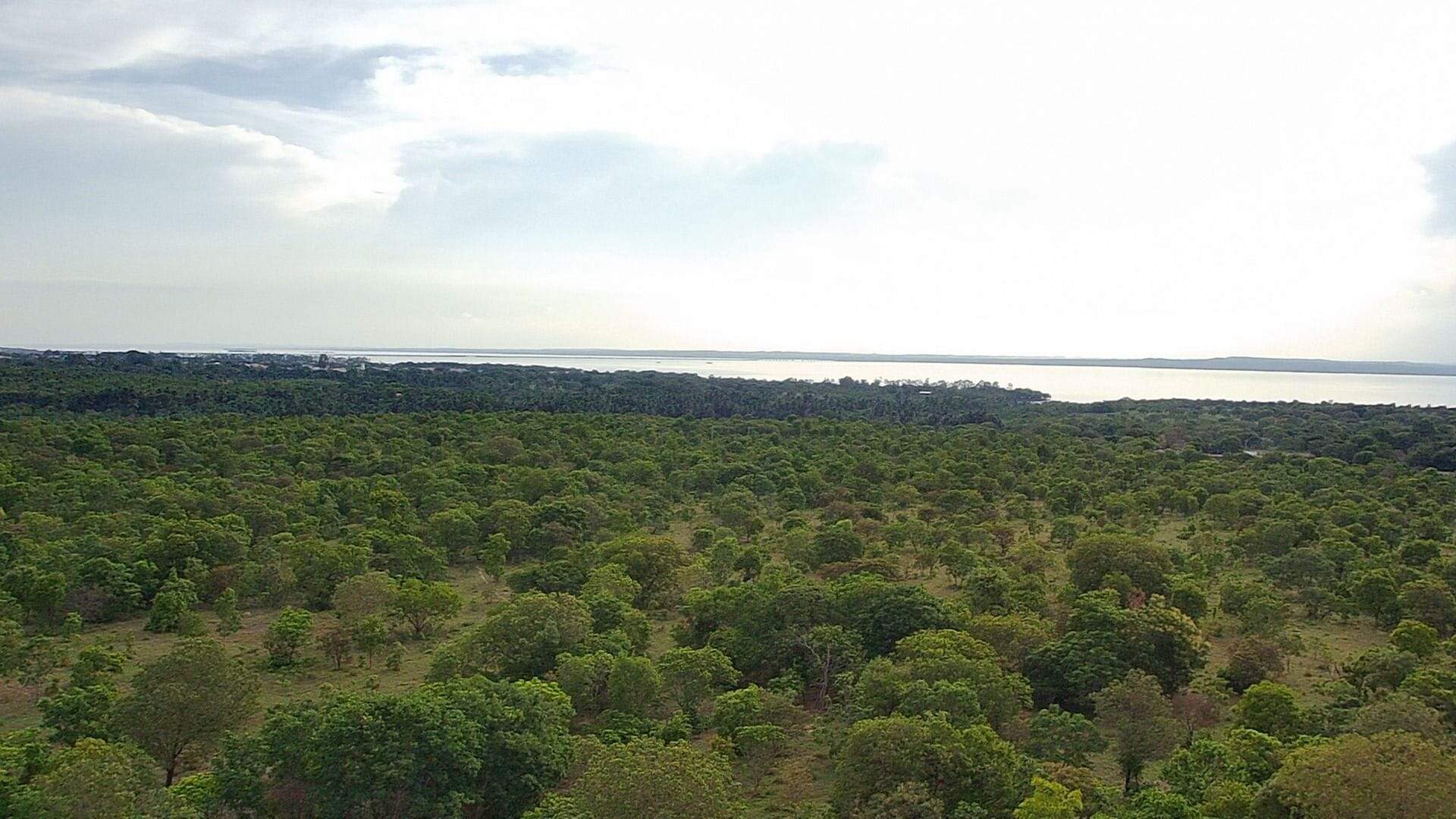 Lote à venda no Área Rural de Palmas: 