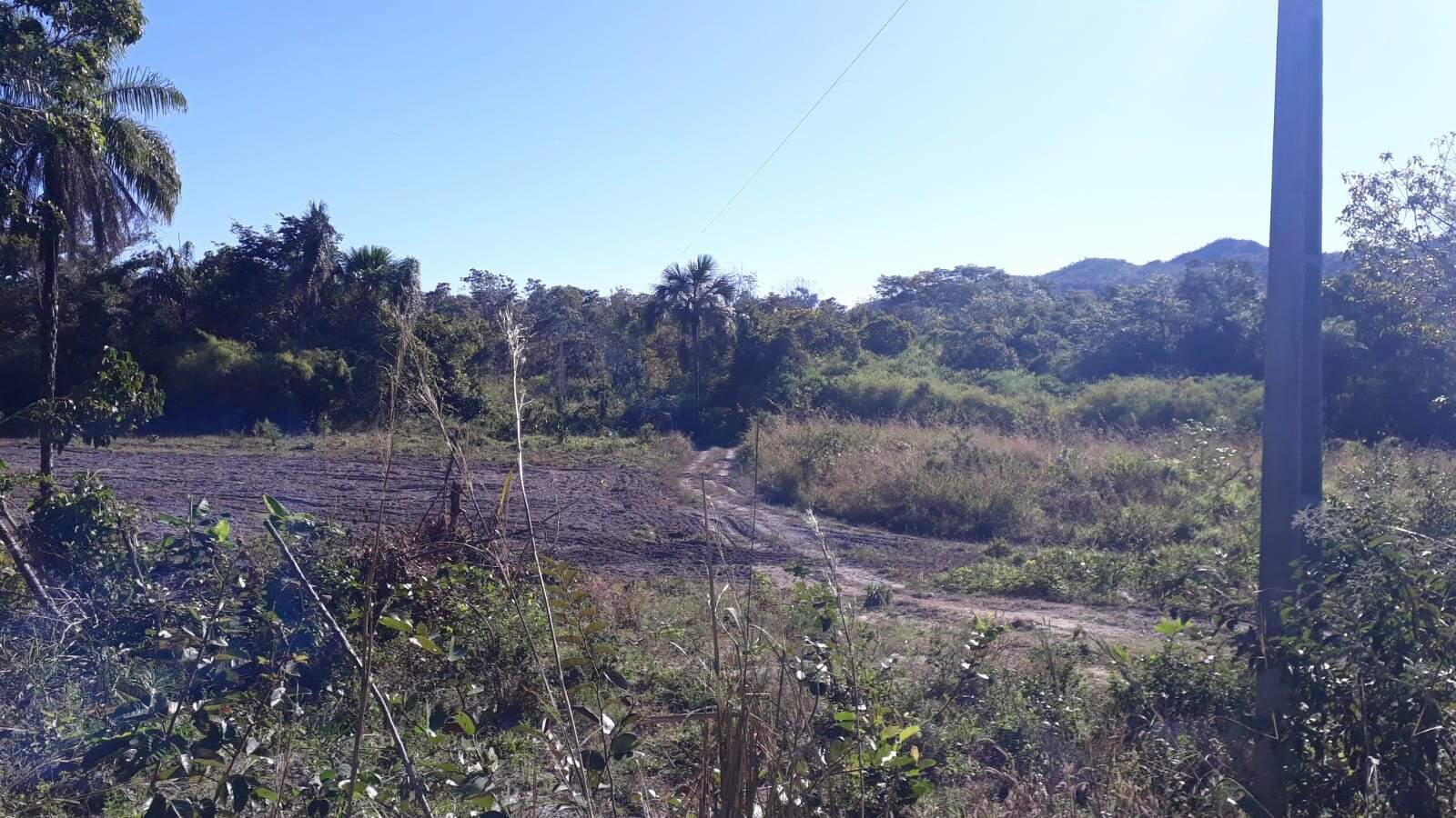 Fazenda à venda no Centro: 