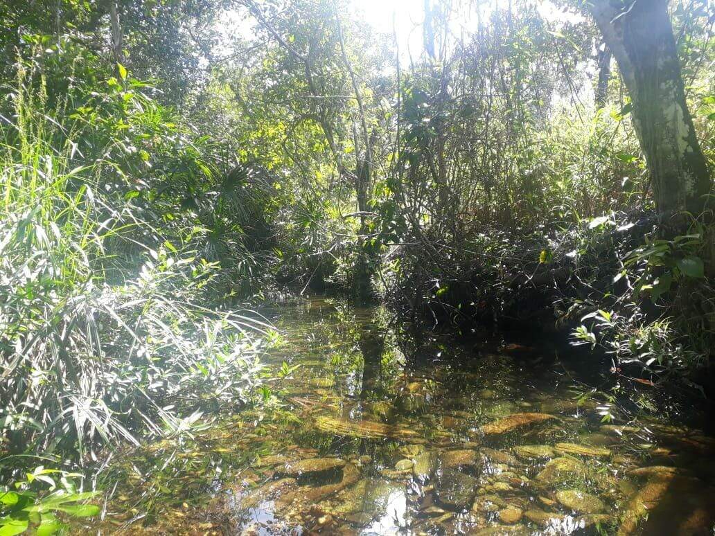 Fazenda à venda no Centro: 