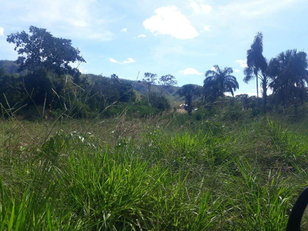Fazenda à venda no Centro: 