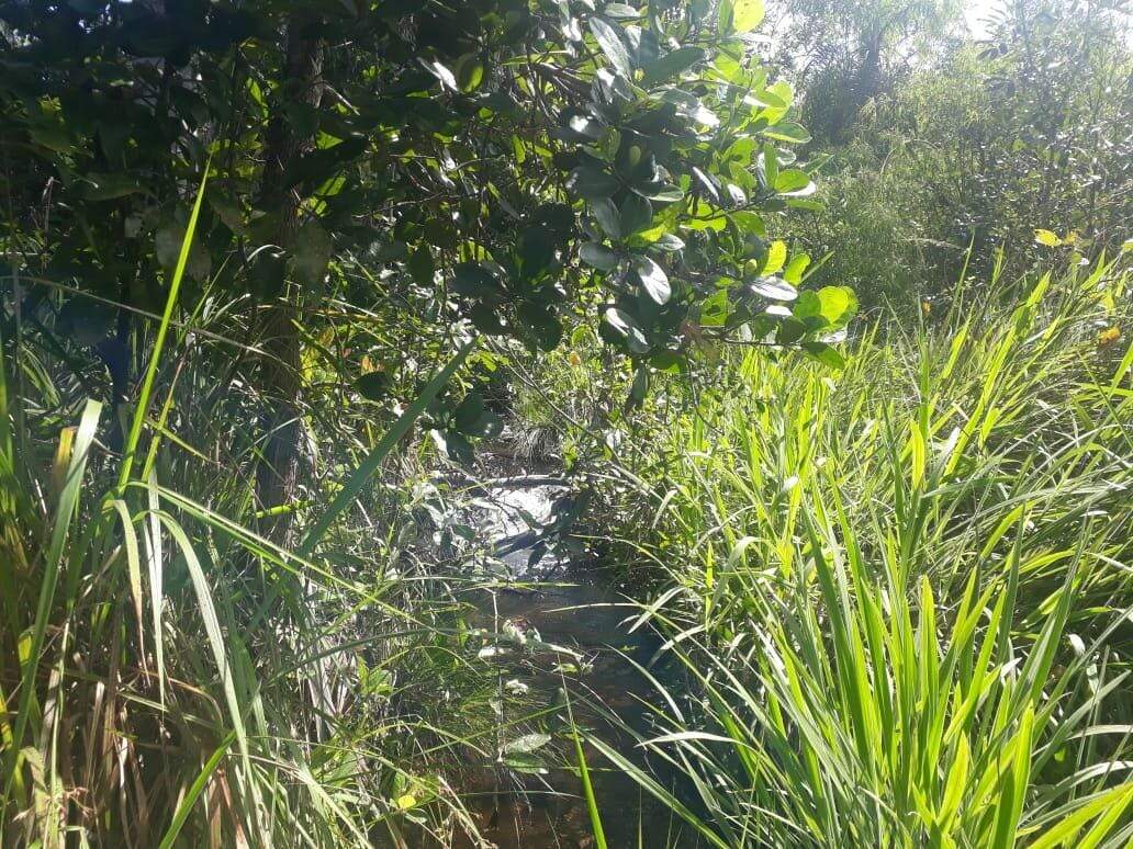 Fazenda à venda no Centro: 