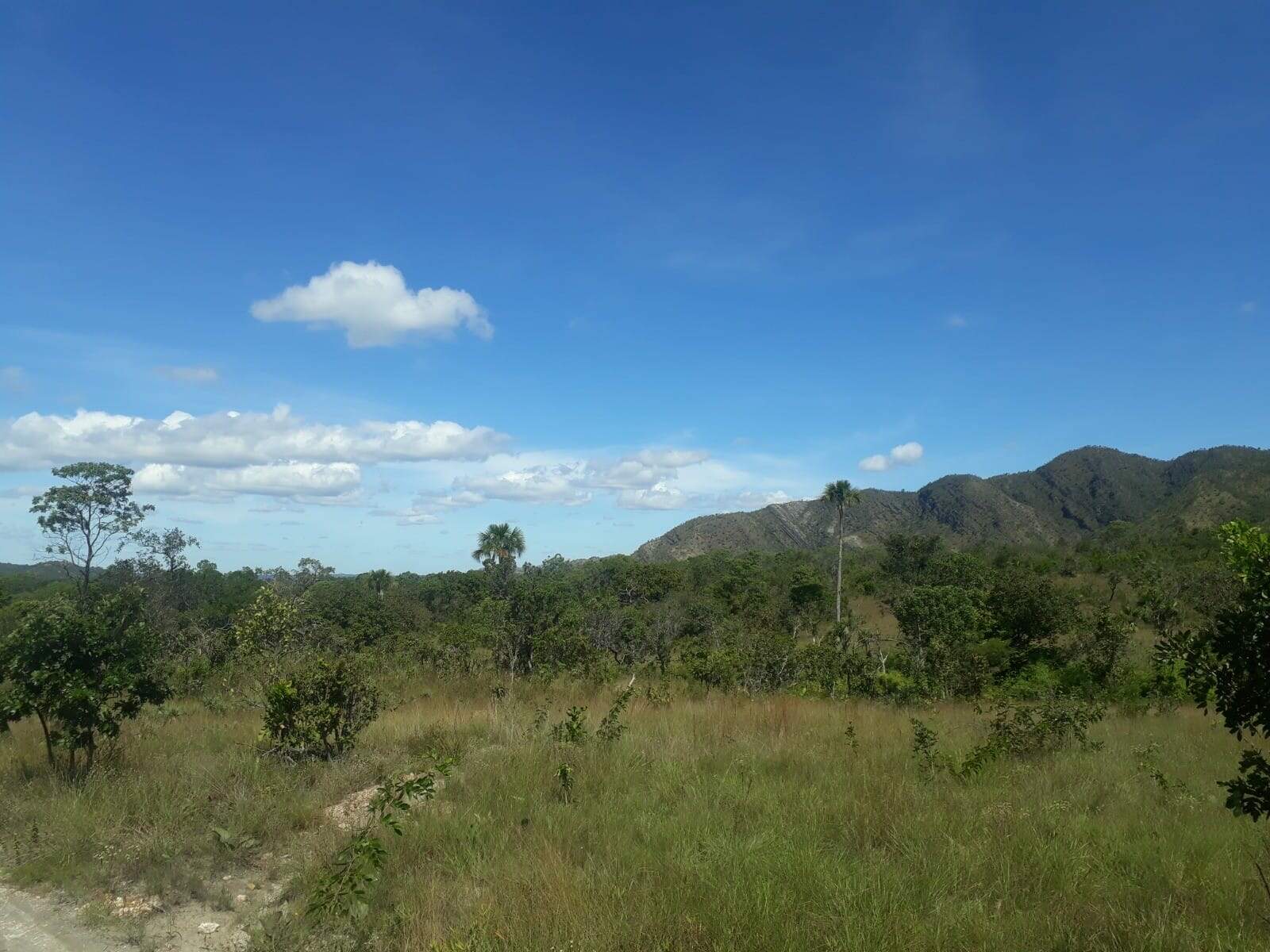 Fazenda à venda no Centro: 