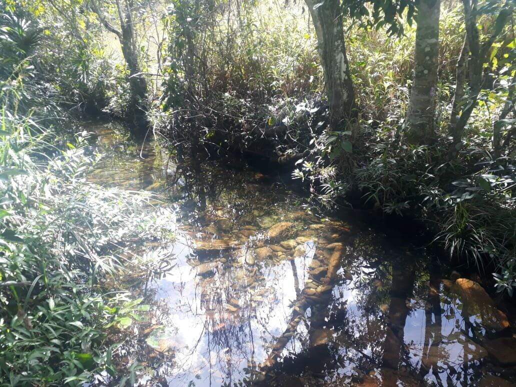 Fazenda à venda no Centro: 