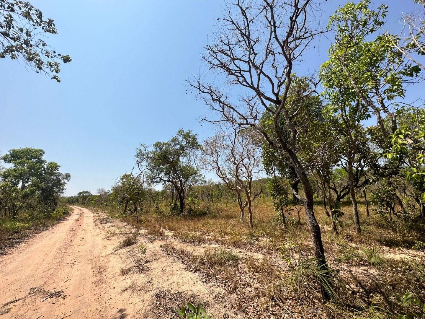 Fazenda à venda no Setor Central: 