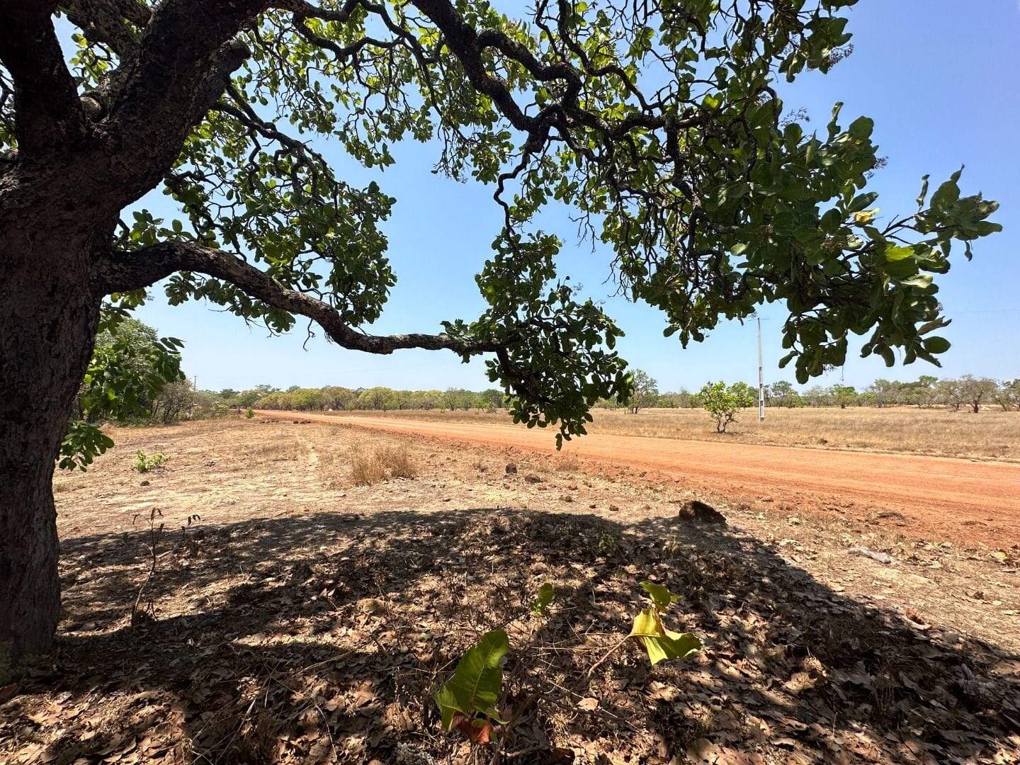 Fazenda à venda no Setor Central: 