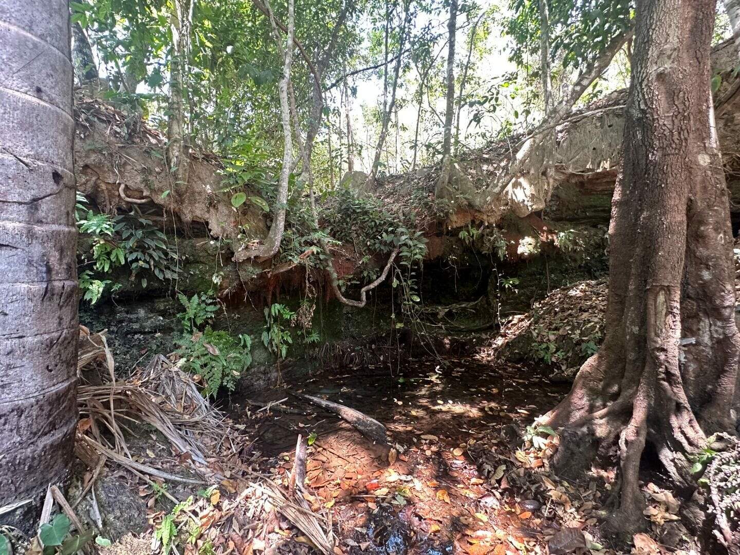 Fazenda à venda no Setor Central: 