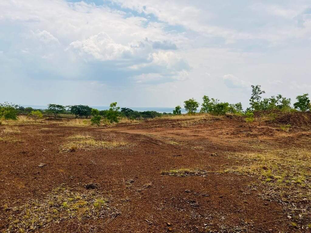 Fazenda à venda no Buritirana: 