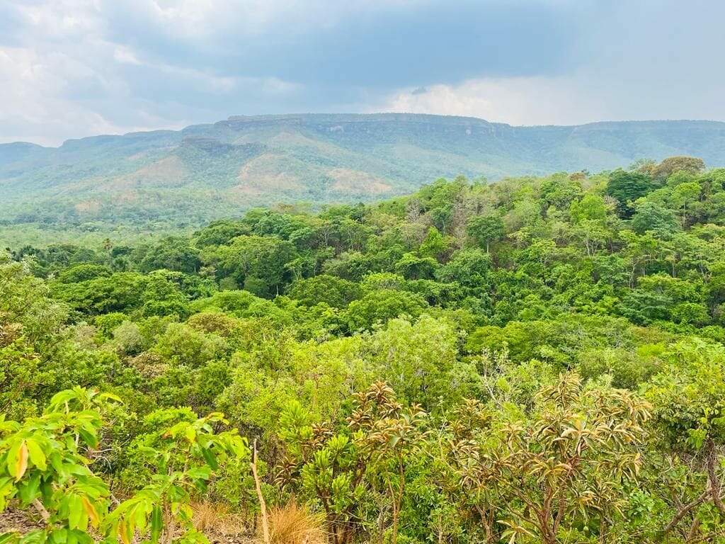 Fazenda à venda no Buritirana: 