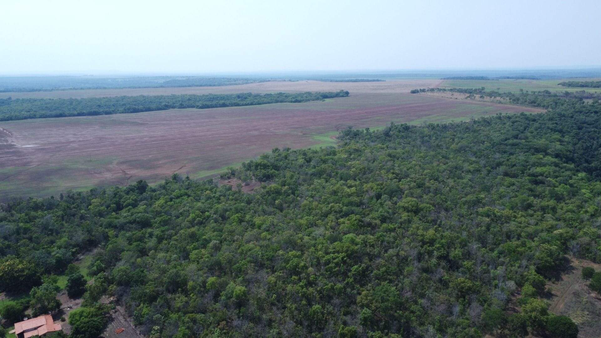 Fazenda à venda no Buritirana: 