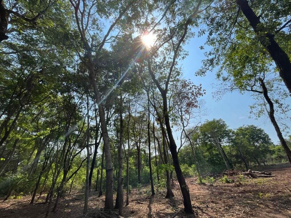 Fazenda à venda no Buritirana: 