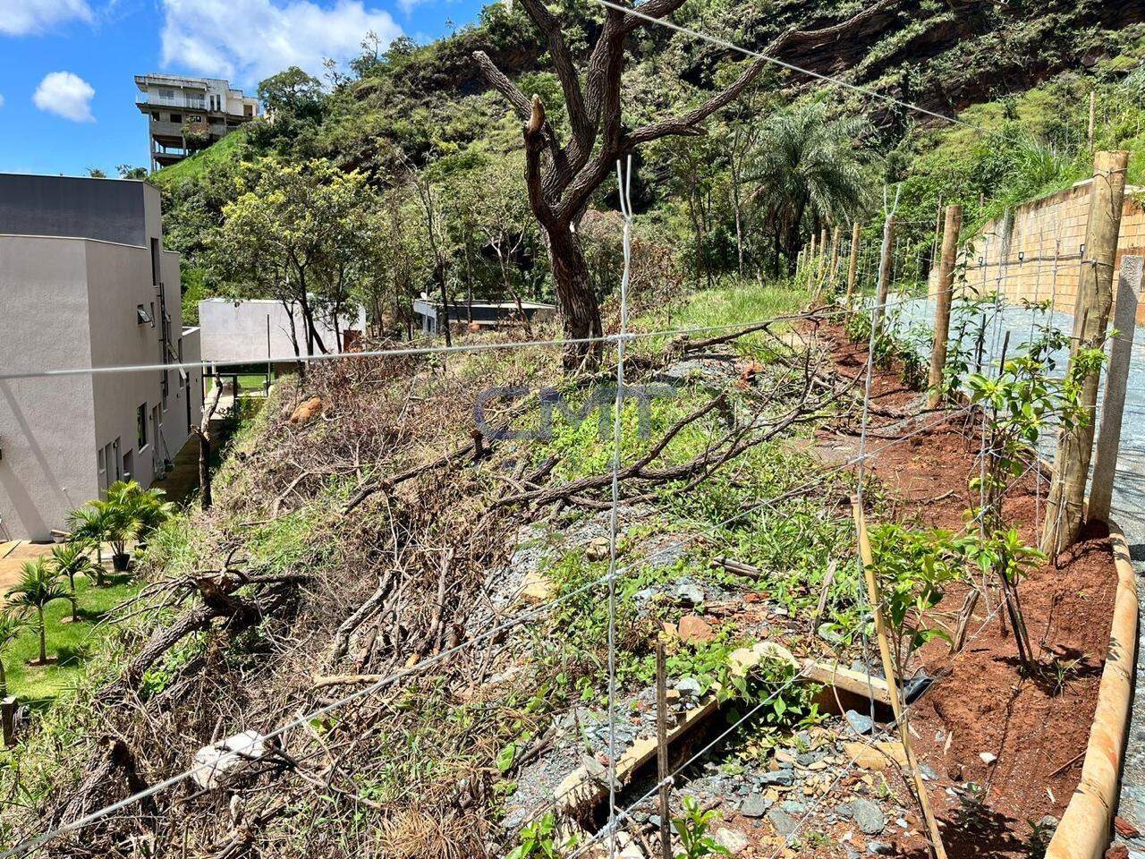 Terreno, 810 m² - Foto 6