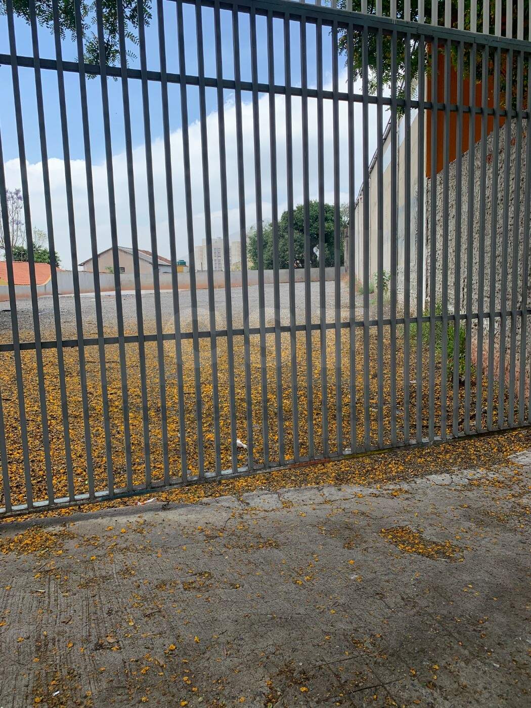 TERRENO para aluguel no JAGUARÉ: Foto 09