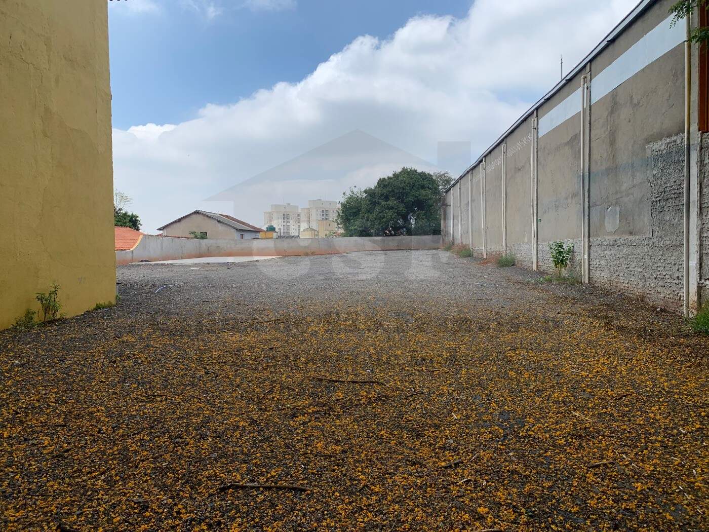 TERRENO para aluguel no JAGUARÉ: Foto 11