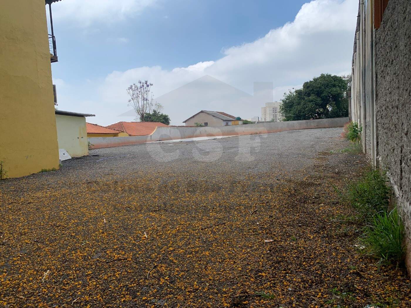 TERRENO para aluguel no JAGUARÉ: Foto 12