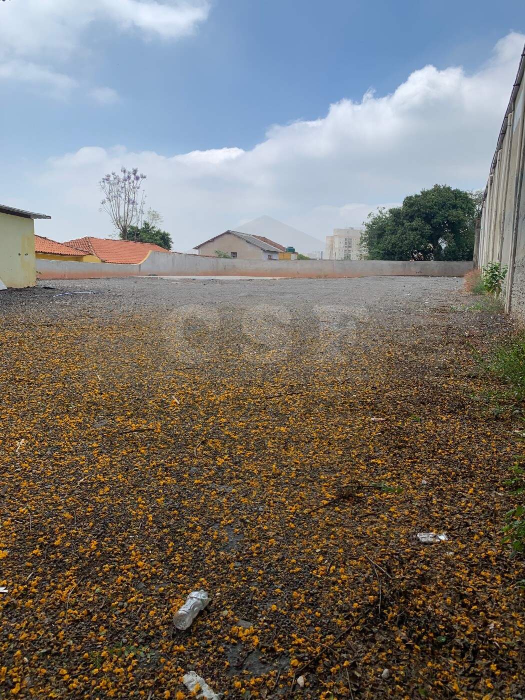 TERRENO para aluguel no JAGUARÉ: Foto 13