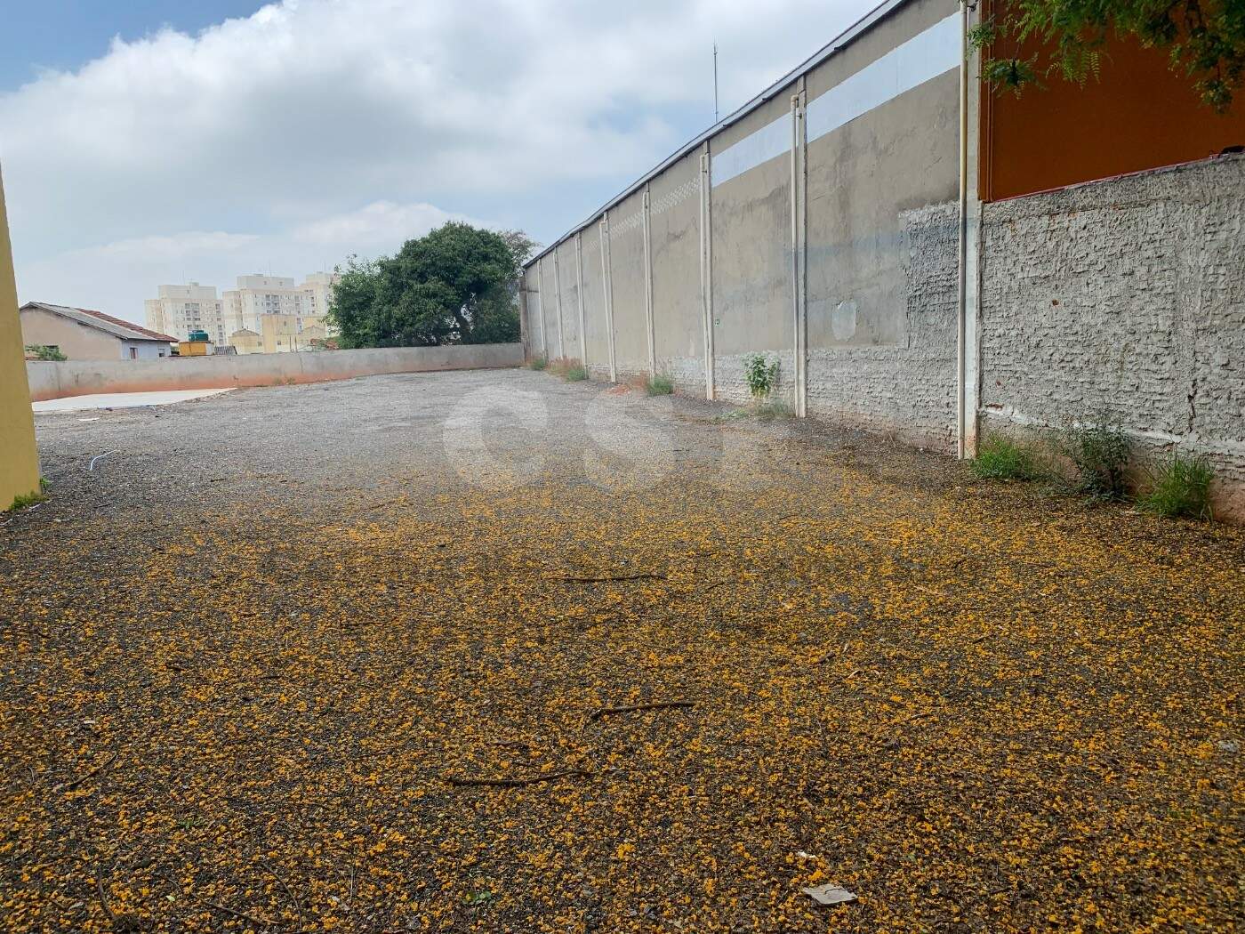 TERRENO para aluguel no JAGUARÉ: Foto 10