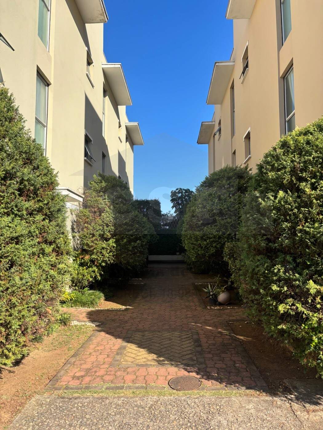 Casa para aluguel no VILA SÃO FRANCISCO: Foto 58