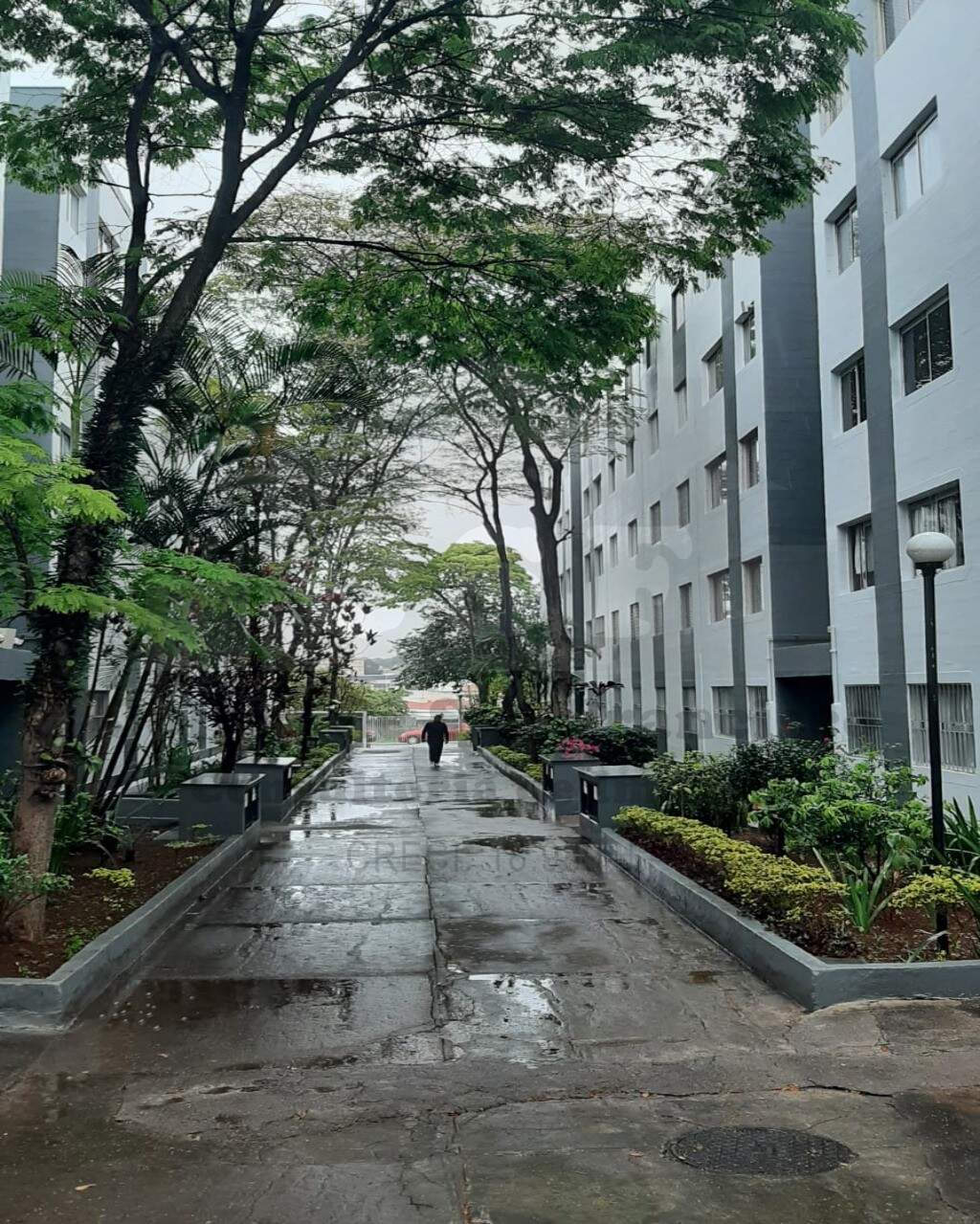 Apartamento à venda no Vila São Silvestre: Foto 05