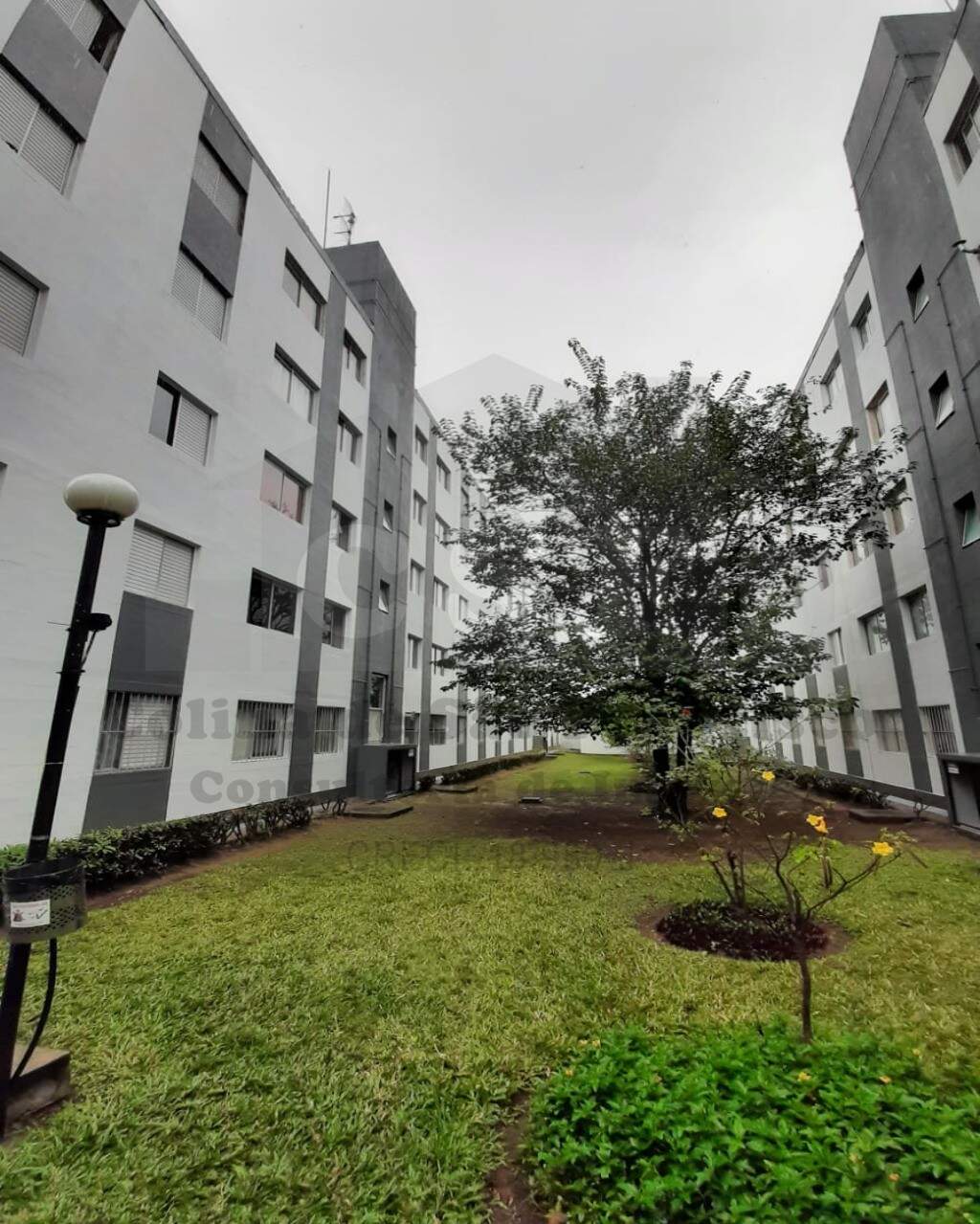 Apartamento à venda no Vila São Silvestre: Foto 06