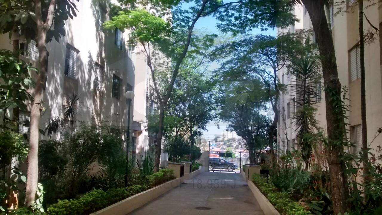 Apartamento à venda no Vila São Silvestre: Foto 20