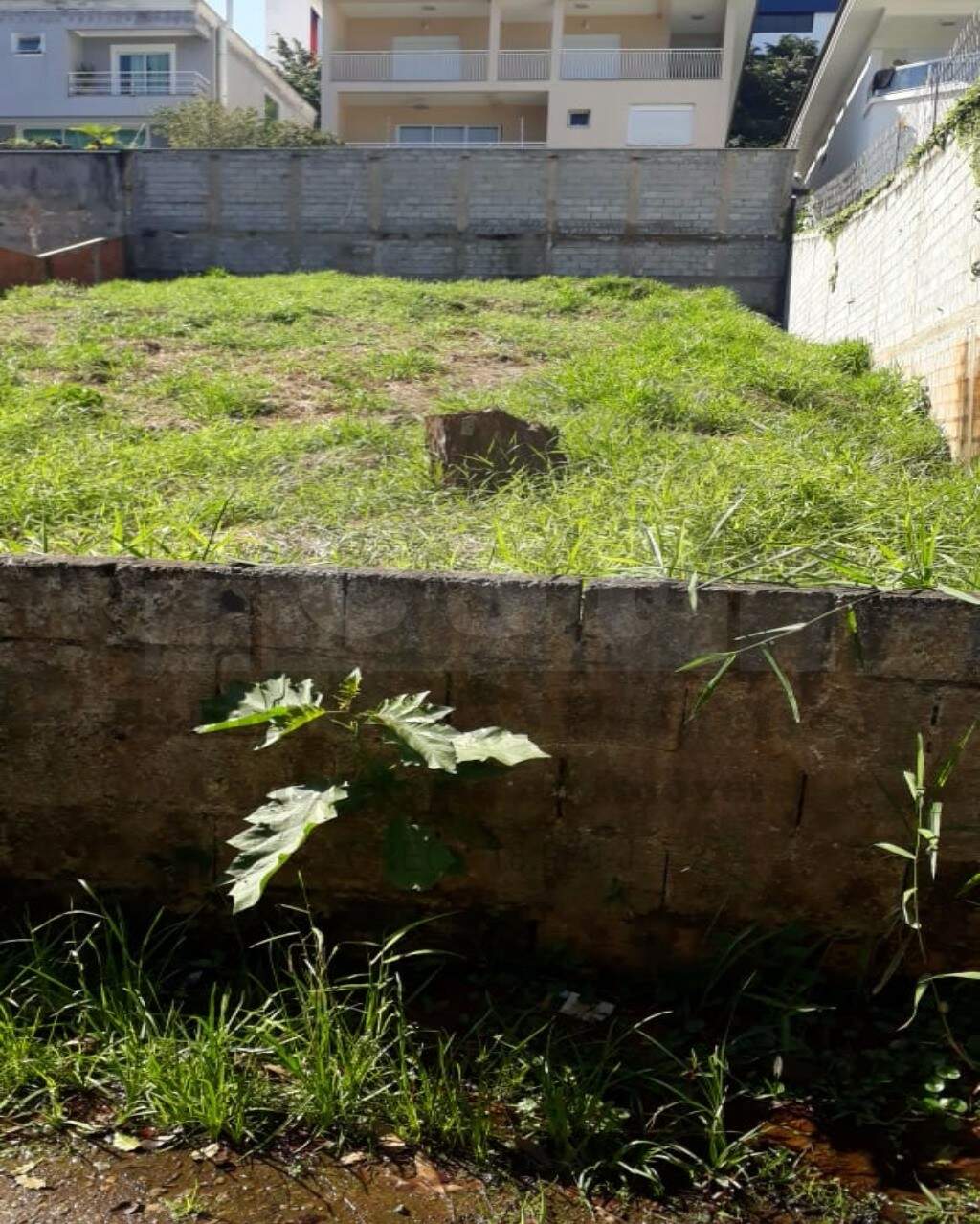 TERRENO à venda no PARQUE DOS PRINCIPES: Foto 03