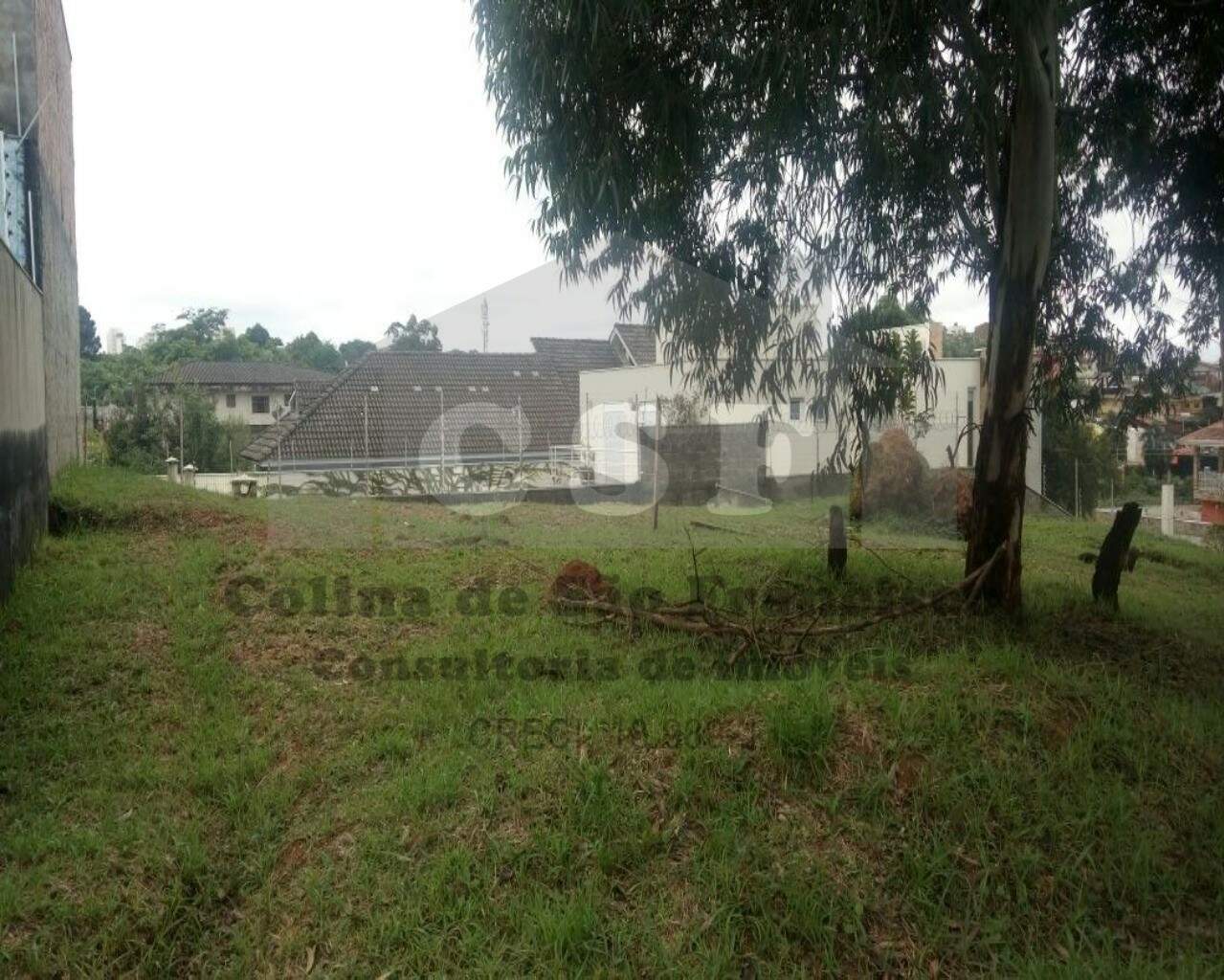 TERRENO à venda no PARQUE DOS PRINCIPES: Foto 02