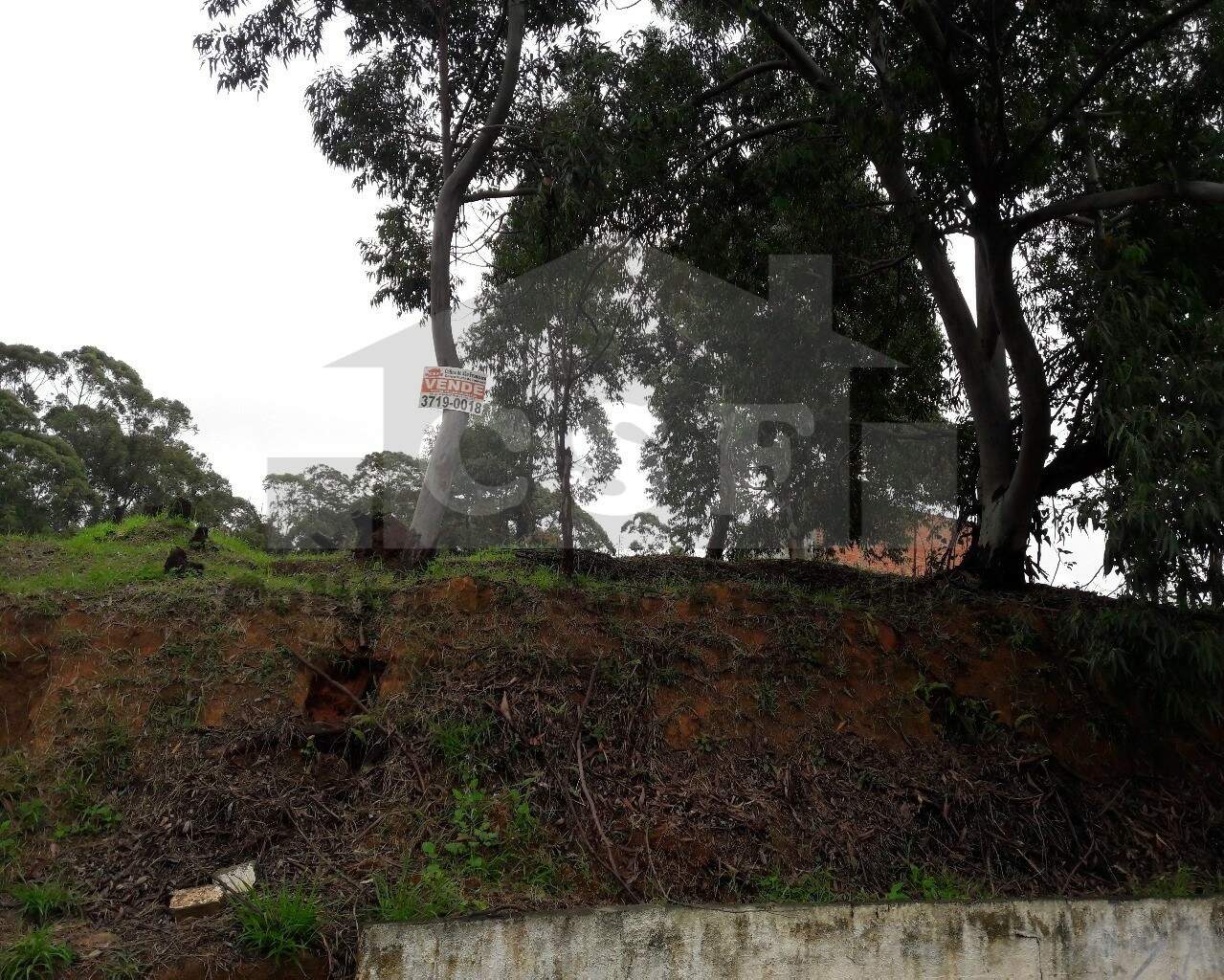TERRENO à venda no PARQUE DOS PRINCIPES: Foto 04