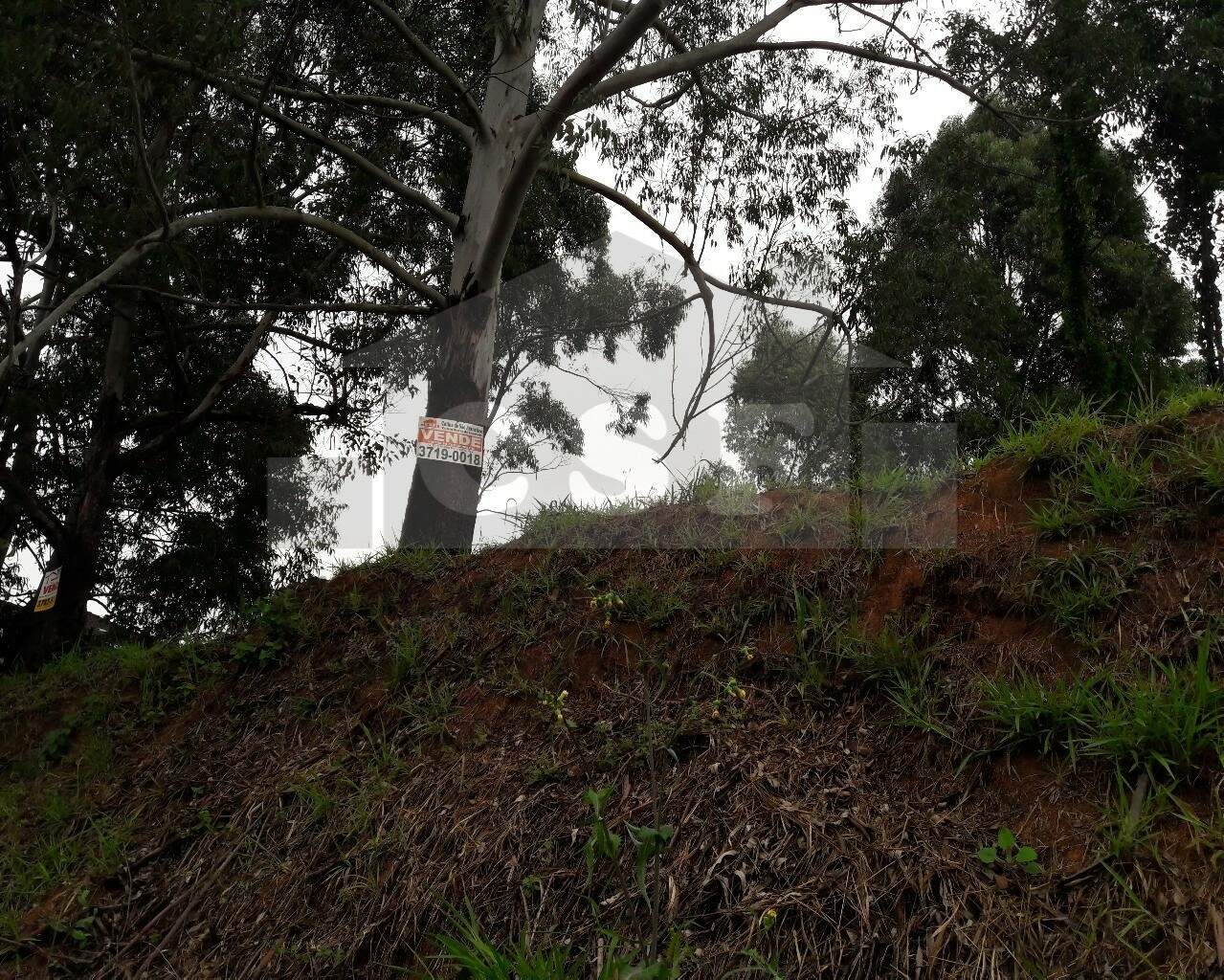 TERRENO à venda no PARQUE DOS PRINCIPES: Foto 05
