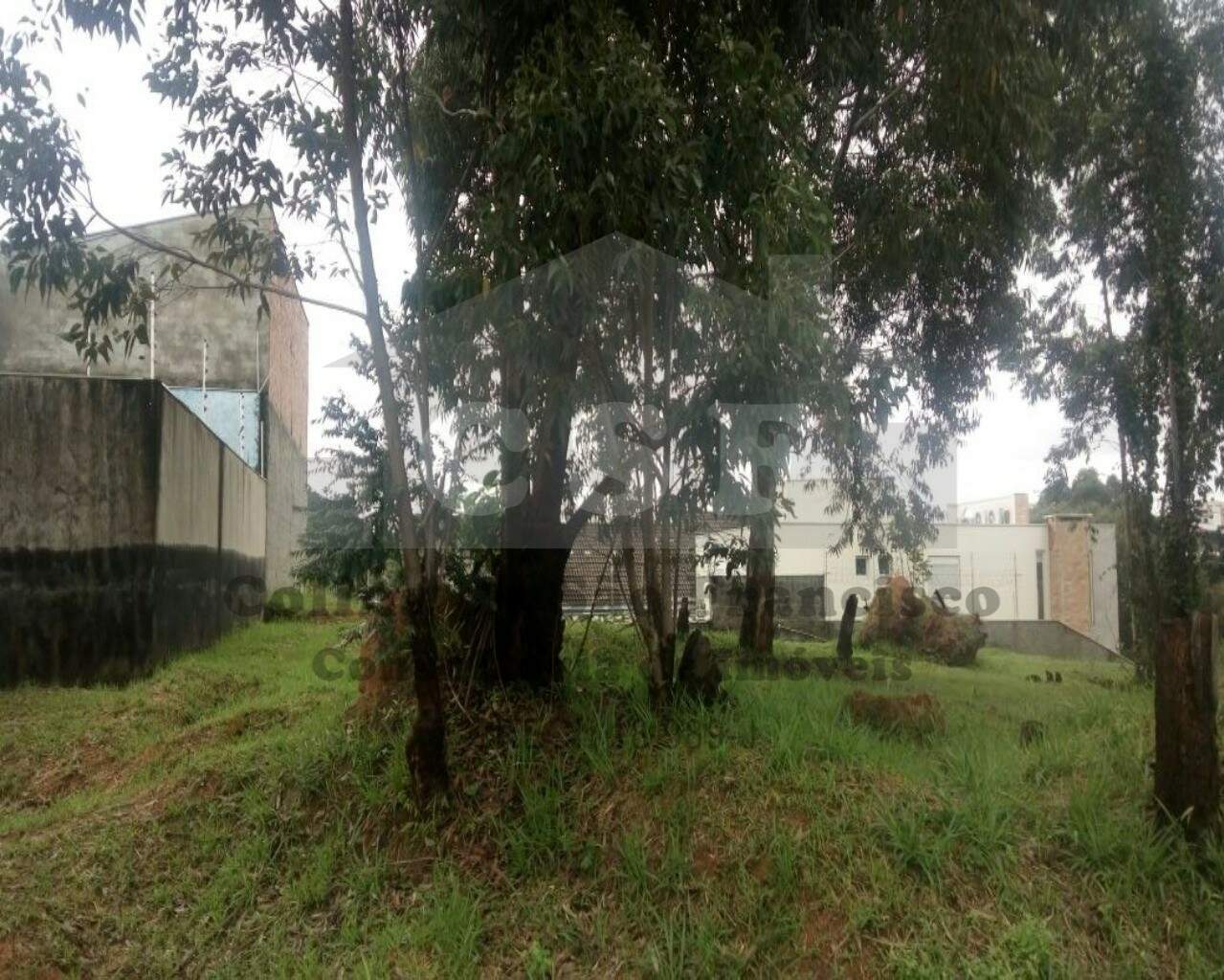TERRENO à venda no PARQUE DOS PRINCIPES: Foto 06