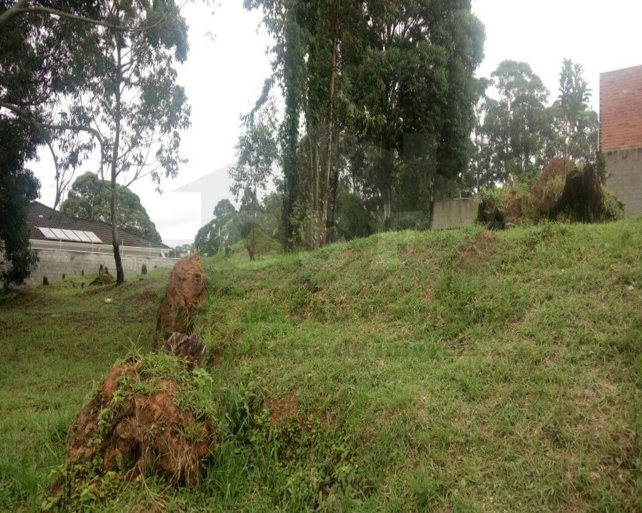 TERRENO à venda no PARQUE DOS PRINCIPES: Foto 01