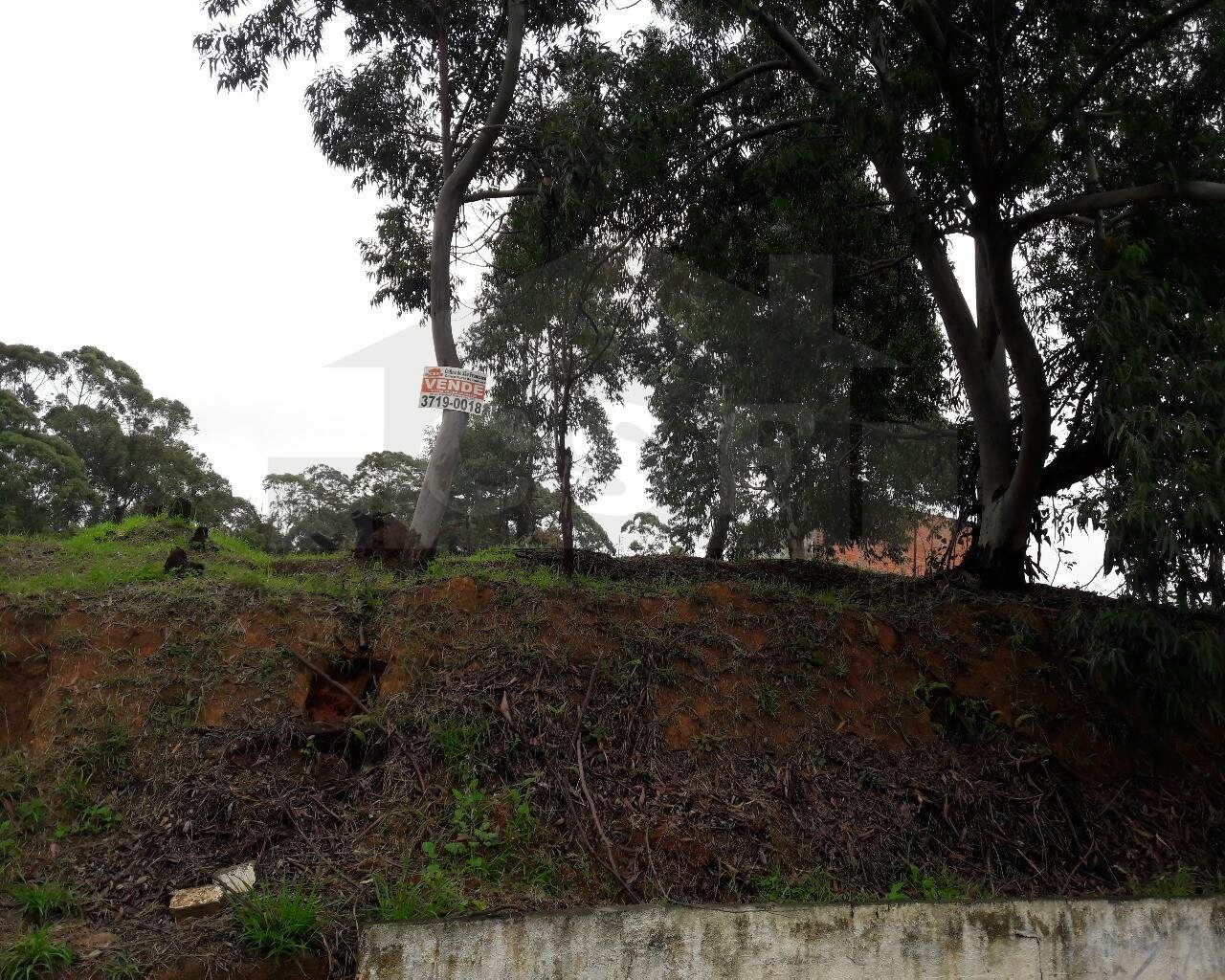 TERRENO à venda no PARQUE DOS PRINCIPES: Foto 02