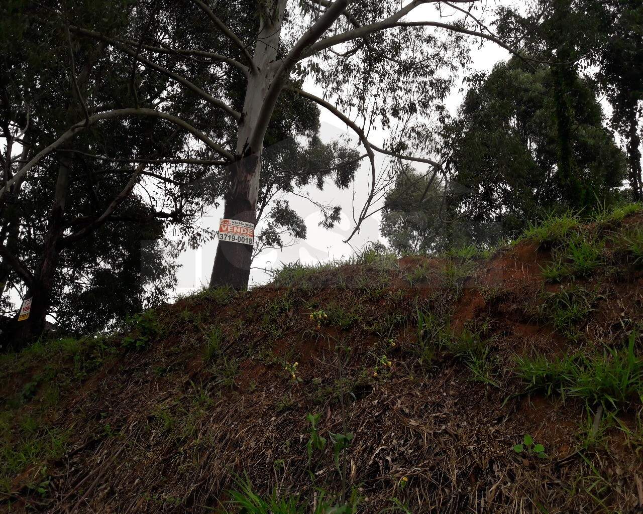 TERRENO à venda no PARQUE DOS PRINCIPES: Foto 03