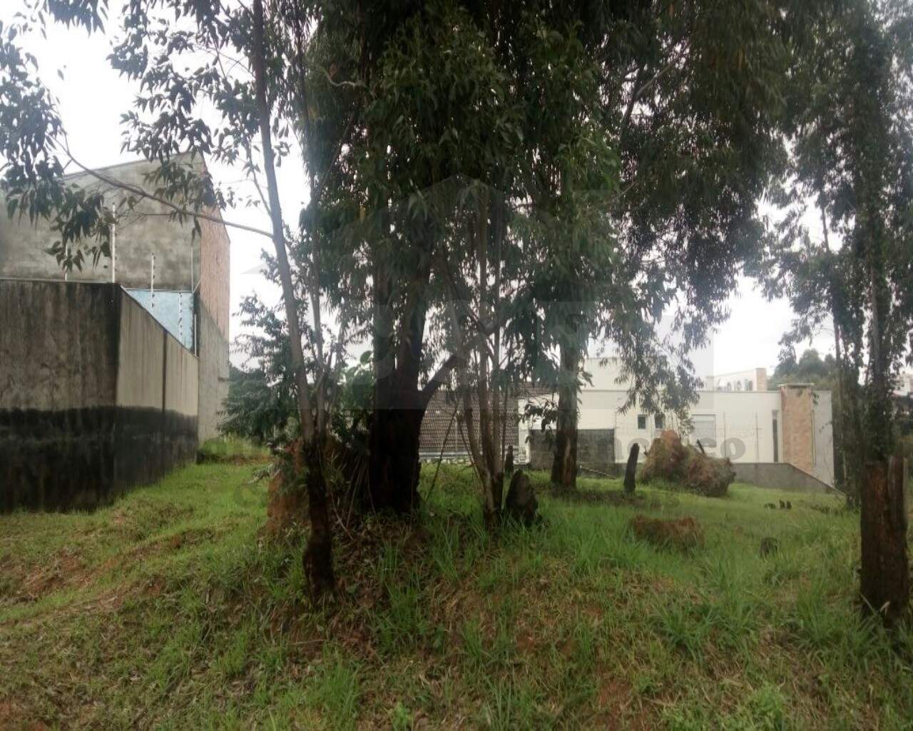 TERRENO à venda no PARQUE DOS PRINCIPES: Foto 05