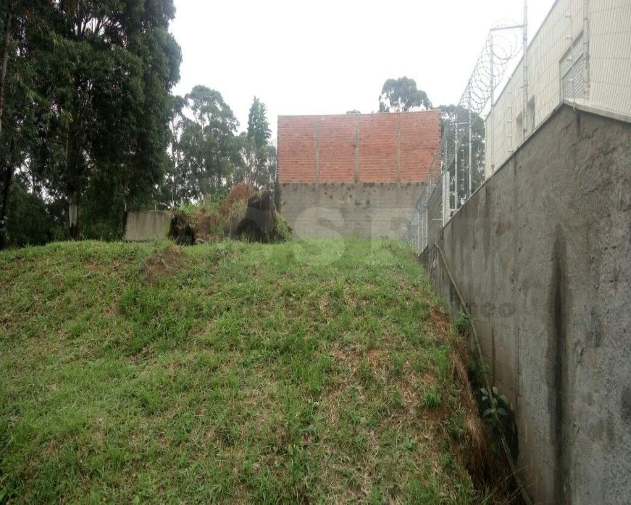 TERRENO à venda no PARQUE DOS PRINCIPES: Foto 06