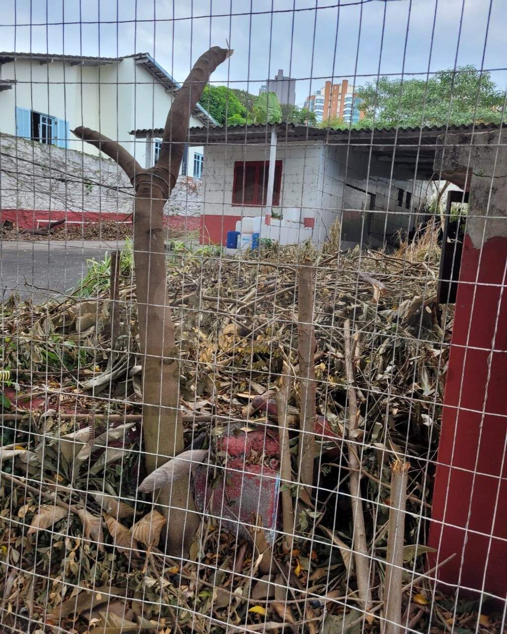TERRENO à venda no VILA SÃO FRANCISCO: Foto 01