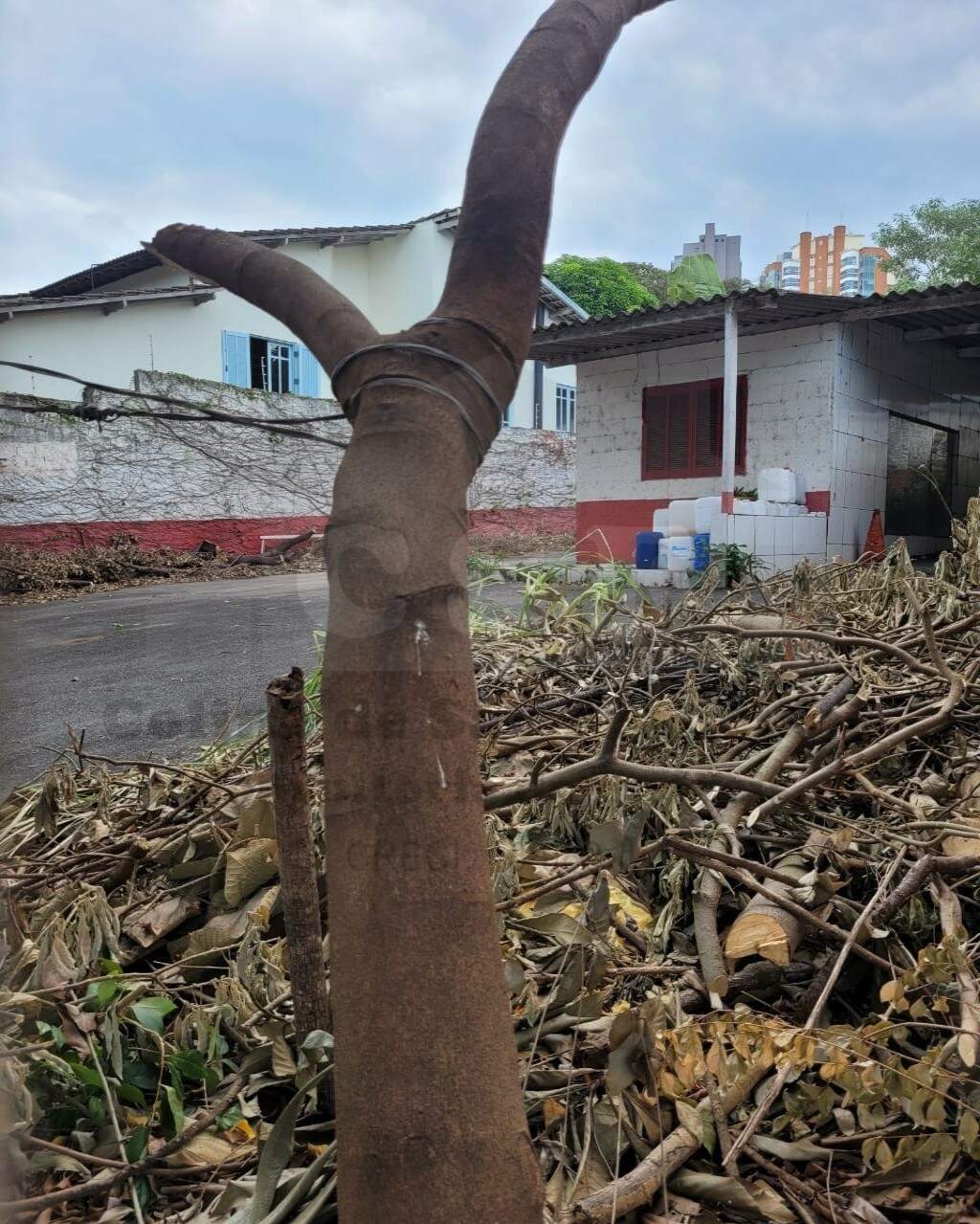 TERRENO à venda no VILA SÃO FRANCISCO: Foto 04