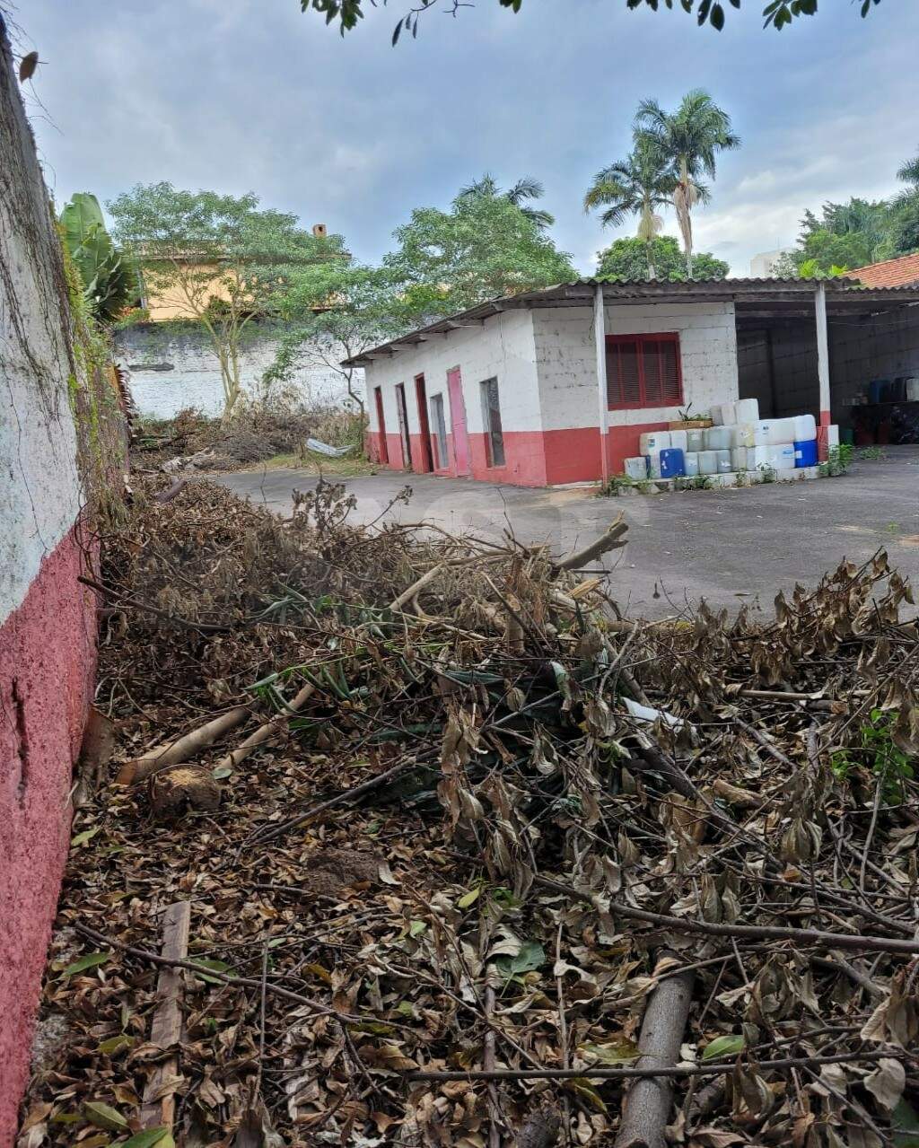 TERRENO à venda no VILA SÃO FRANCISCO: Foto 06