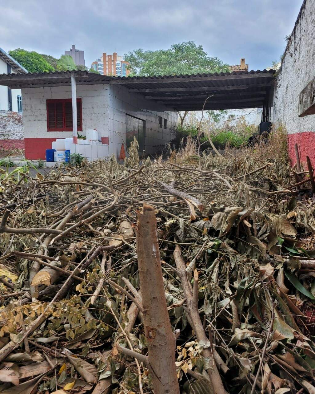 TERRENO à venda no VILA SÃO FRANCISCO: Foto 07